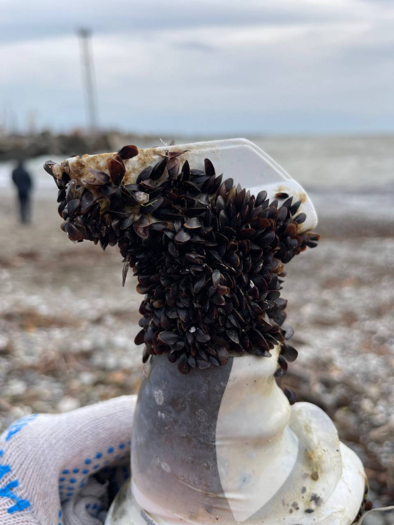 Фото: Павел Бубенков 2023-11-27 15.46.14.jpg