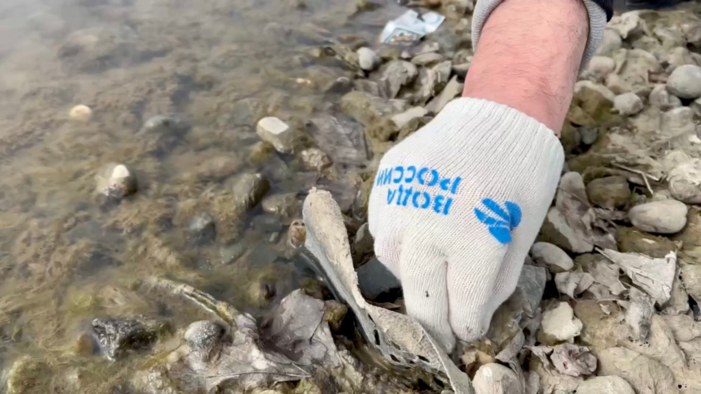 В Сунже волонтеры собрали 90 мешков мусора Ингушетия 4.jpeg