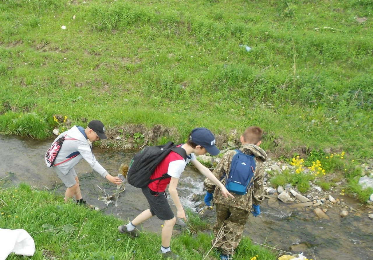 Чистые берега России в Алтайском крае