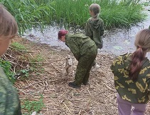 п. Мысовка, река Разлив, 29.06.2022
