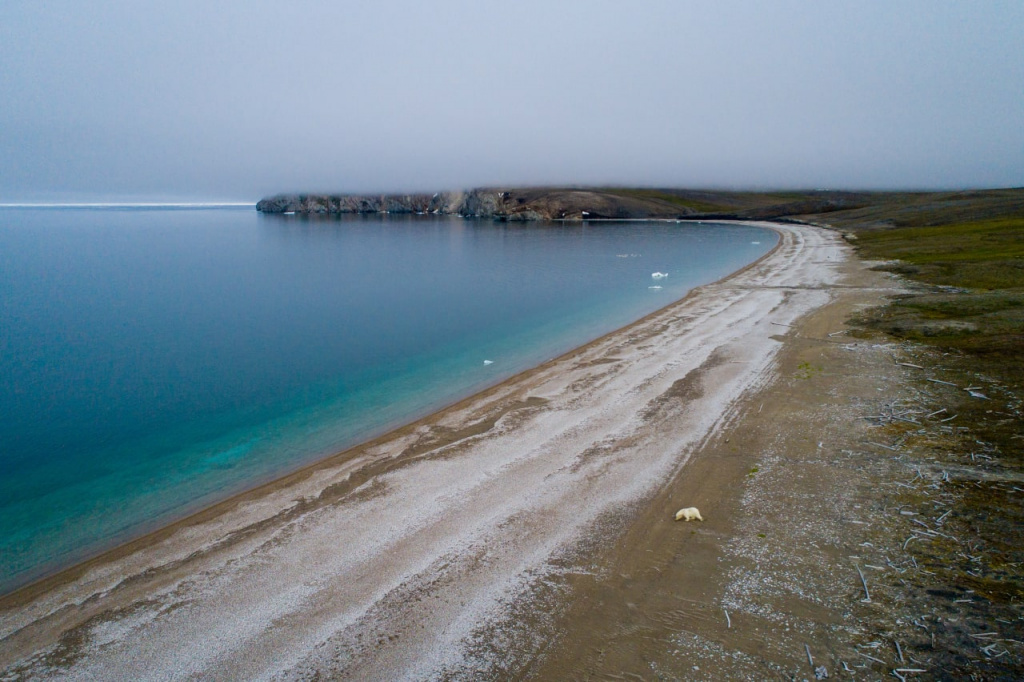 photo1665141642 (2).jpeg