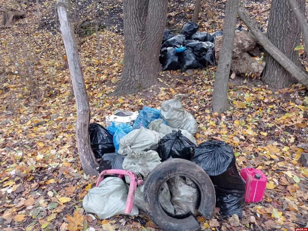 мусор псков.jpg