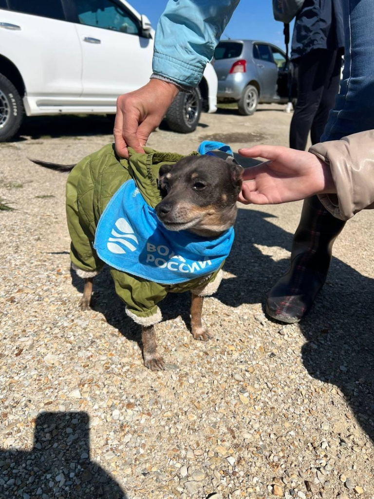 180 человек участвовали в субботнике «Воды России» на Сахалине