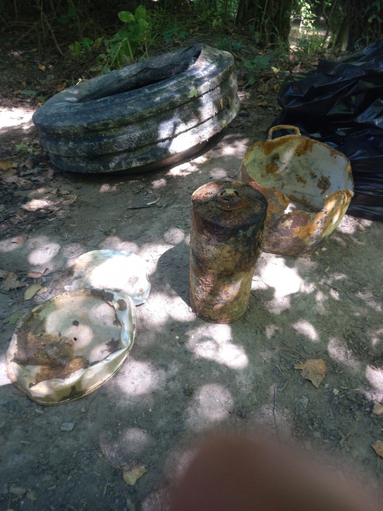 Как музыка и субботники помогают сохранять чистоту берегов