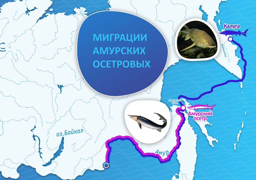 photo1666003728 (1).jpeg