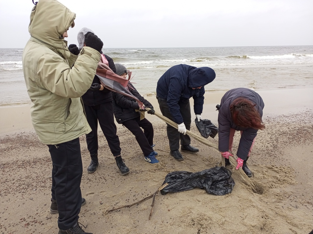 Уборка Куршской косы