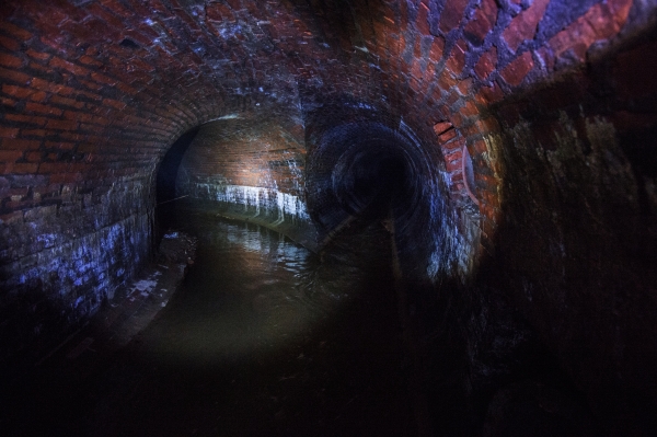 РИА НОВОСТИ.jpg