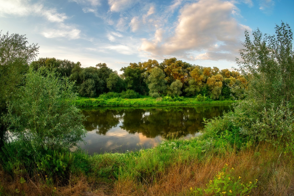 Фото: shutterstock Фото: shutterstock