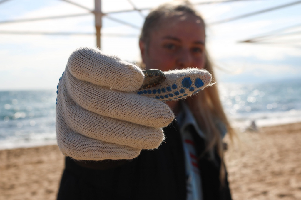 08 11 Крышки.jpeg