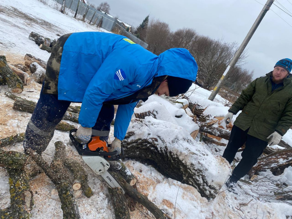 Павлов посад. Порубочные остатки.jpg Павлов посад. Порубочные остатки.jpg