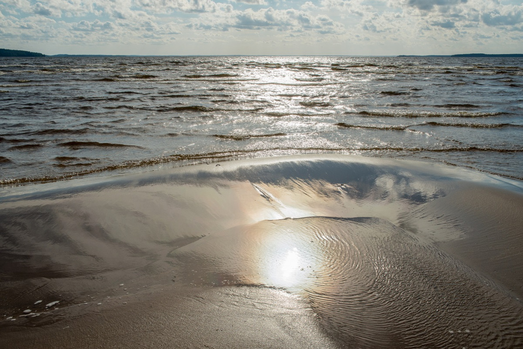 Фото: shutterstock