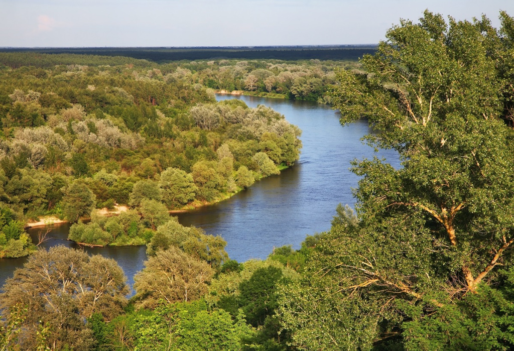 Фото: shutterstock Фото: shutterstock