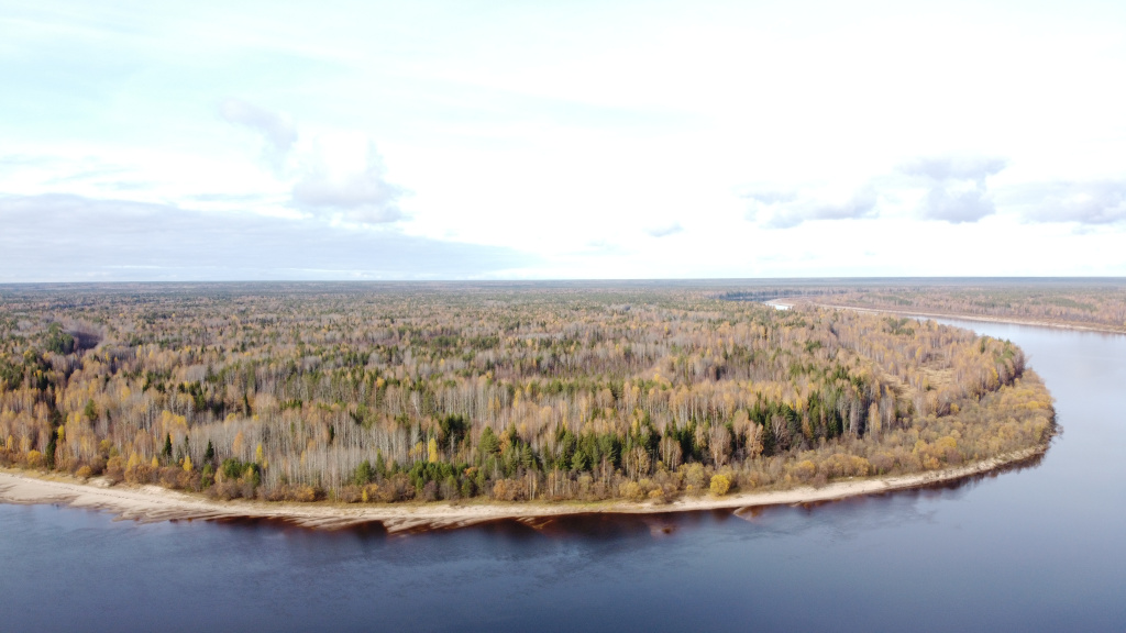 Фото: shutterstock