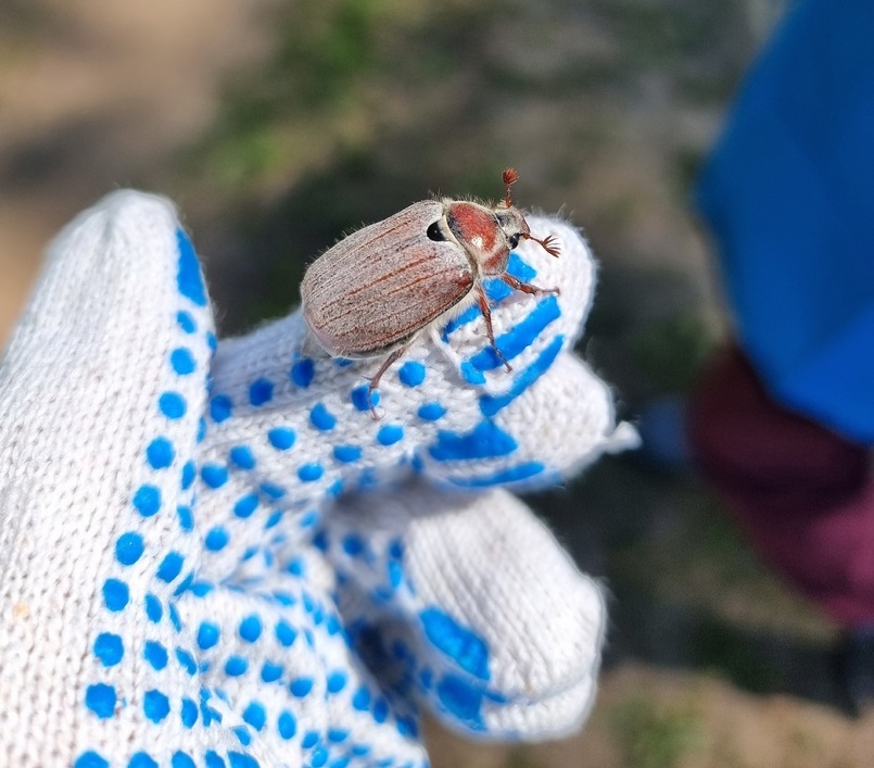 Акция «Вода России» прошла на Артемовских лугах