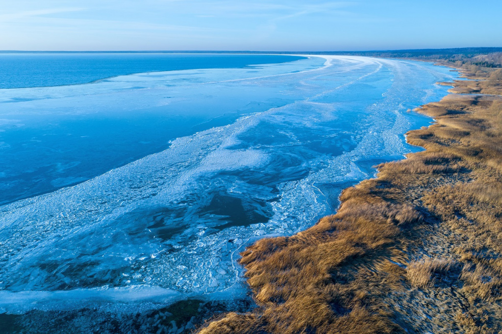 Фото: shutterstock shutterstock_1874079727.jpg