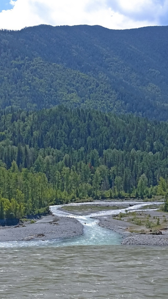 Небольшие субботники прошли на берегах Катуни в Республике Алтай на территории Катунского биосферного заповедника.