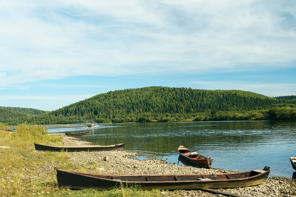 Фото: shutterstock shutterstock_2327259063 (1).jpg