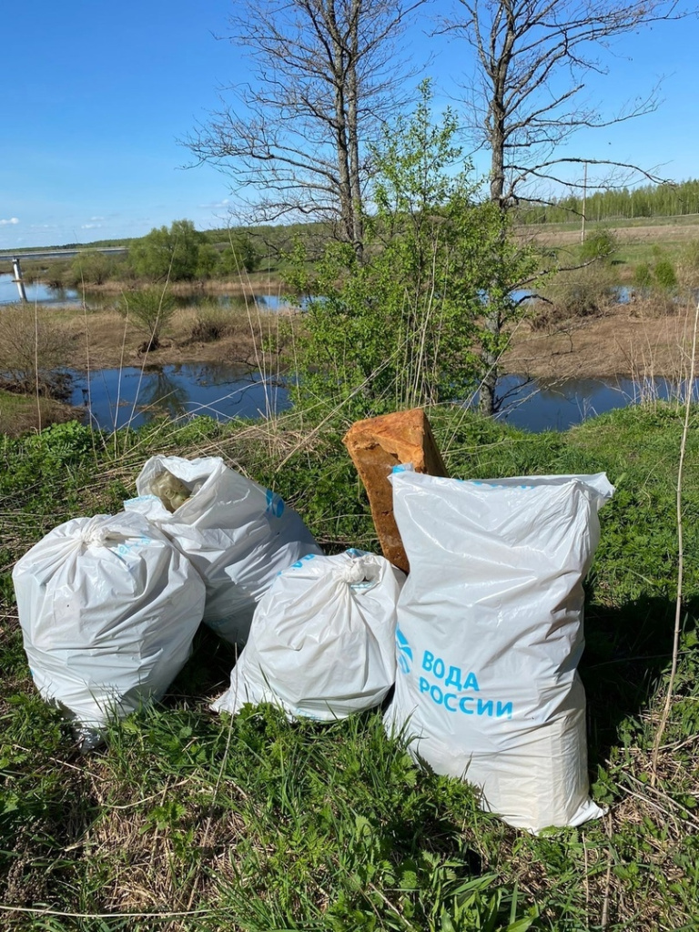 Субботник на сапах и другие мероприятия прошли во Владимирской области