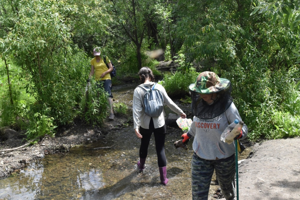 Кресла, бампер и кинескоп: волонтеры Алтая нашли целый склад на берегах Пивоварки
