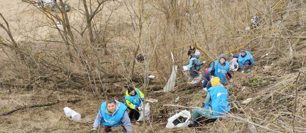 Сразу несколько акций по уборке берегов прошло в Курской области