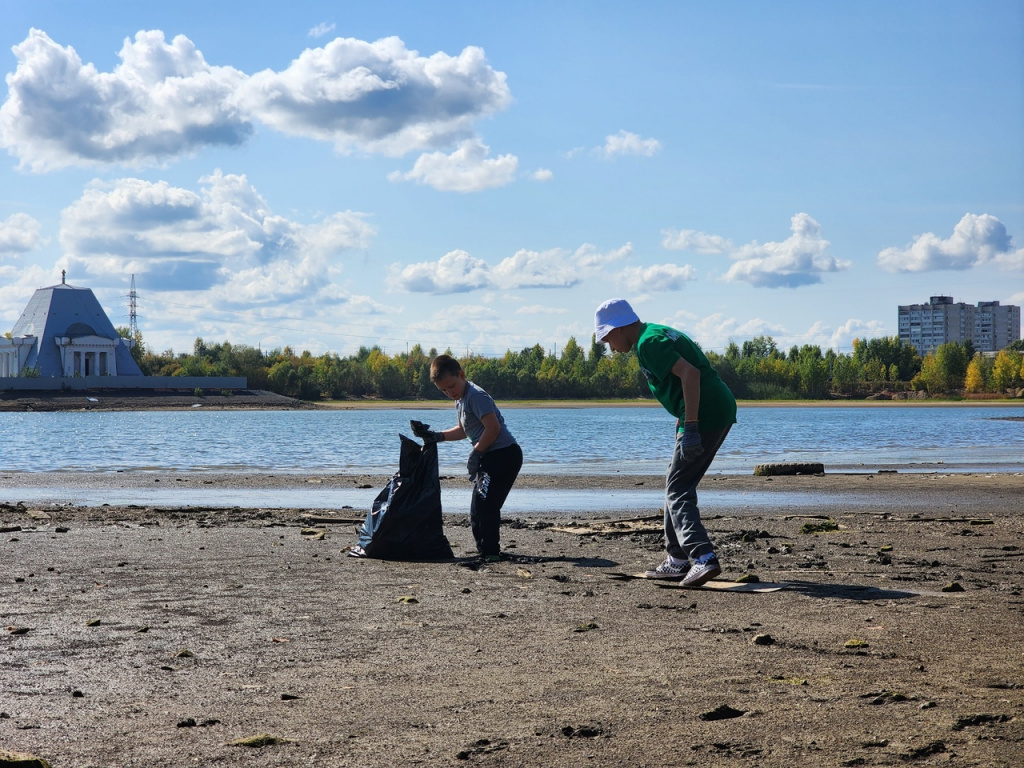 Импровизированная гать.jpeg