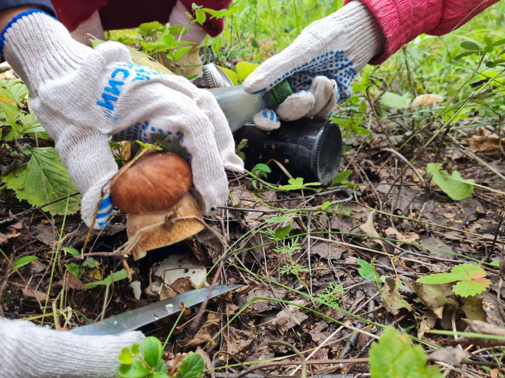 Природа вознаградила волонтеров Южного Урала за ударный труд 