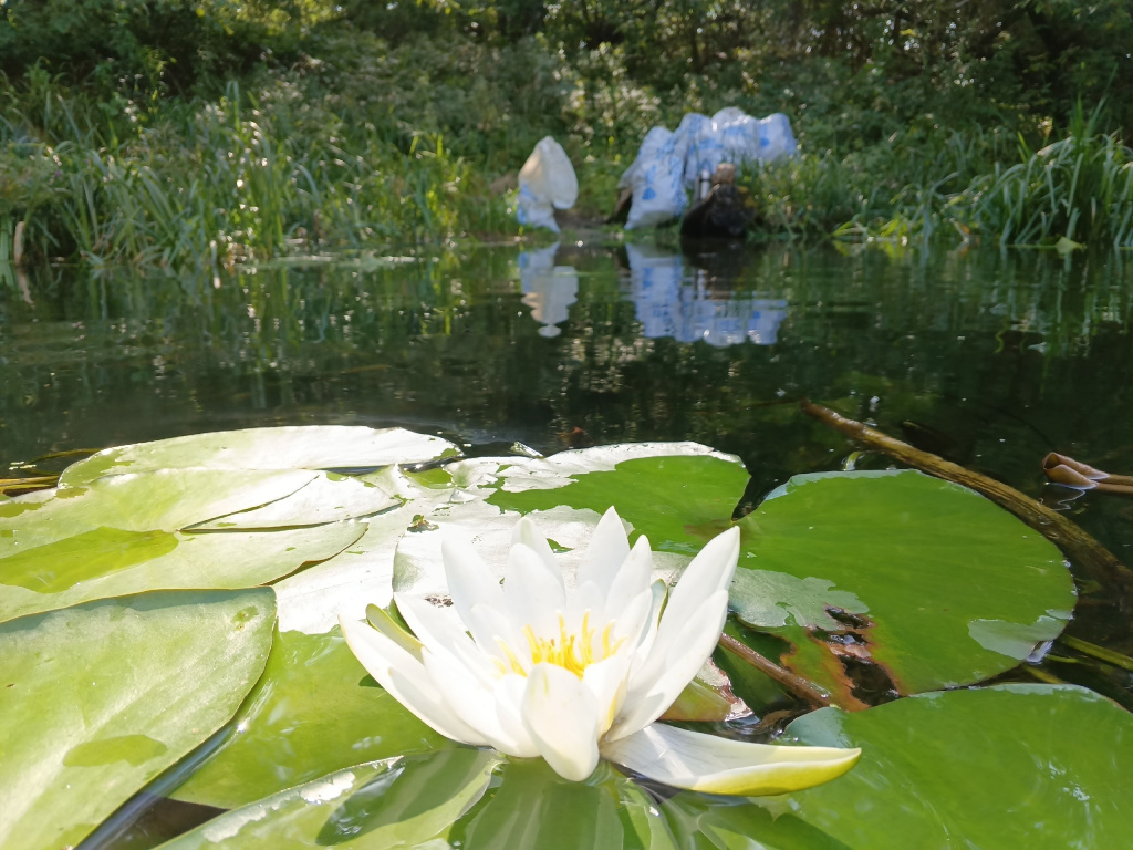 Экогерой на реке Сейм