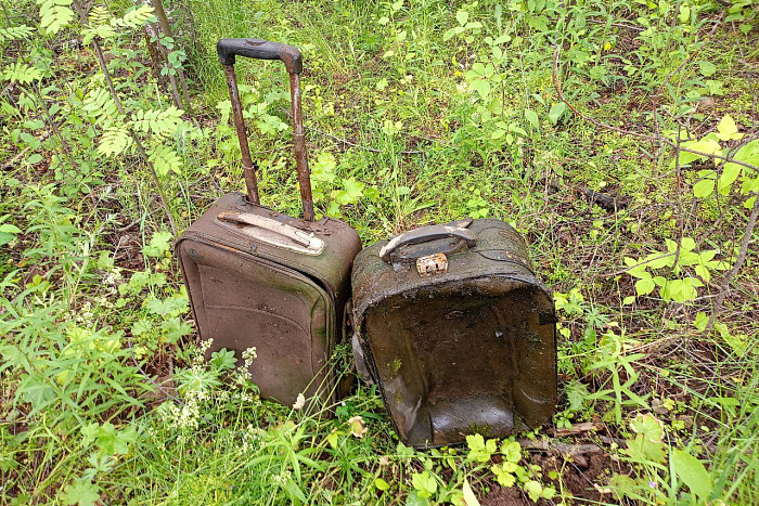 Экоактивисты вышли привести в порядок берега реки Люльченки.