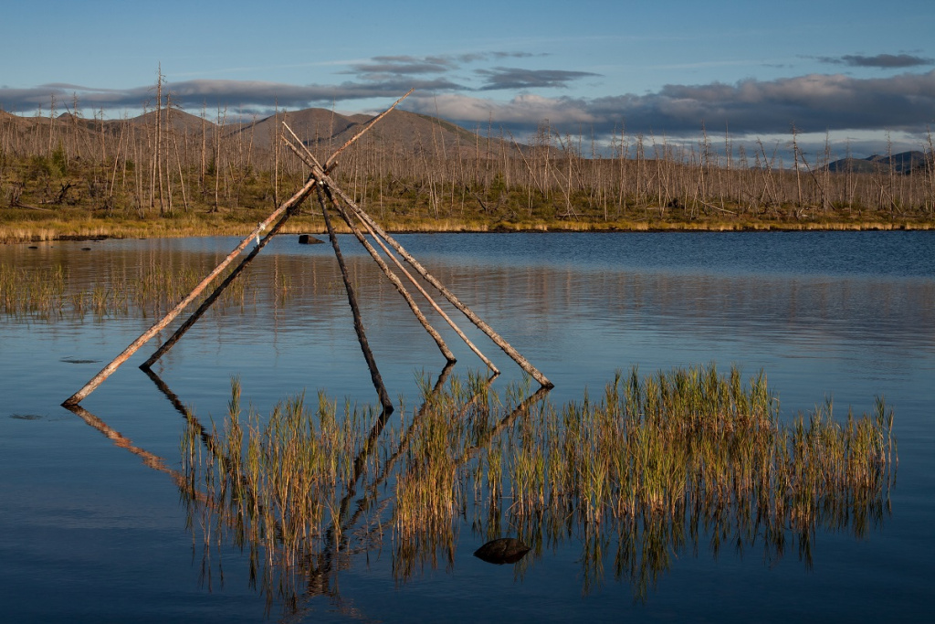 Фото: shutterstock