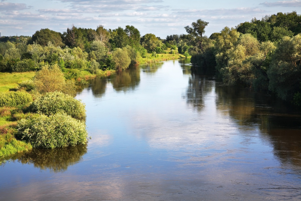 Фото: shutterstock Фото: shutterstock