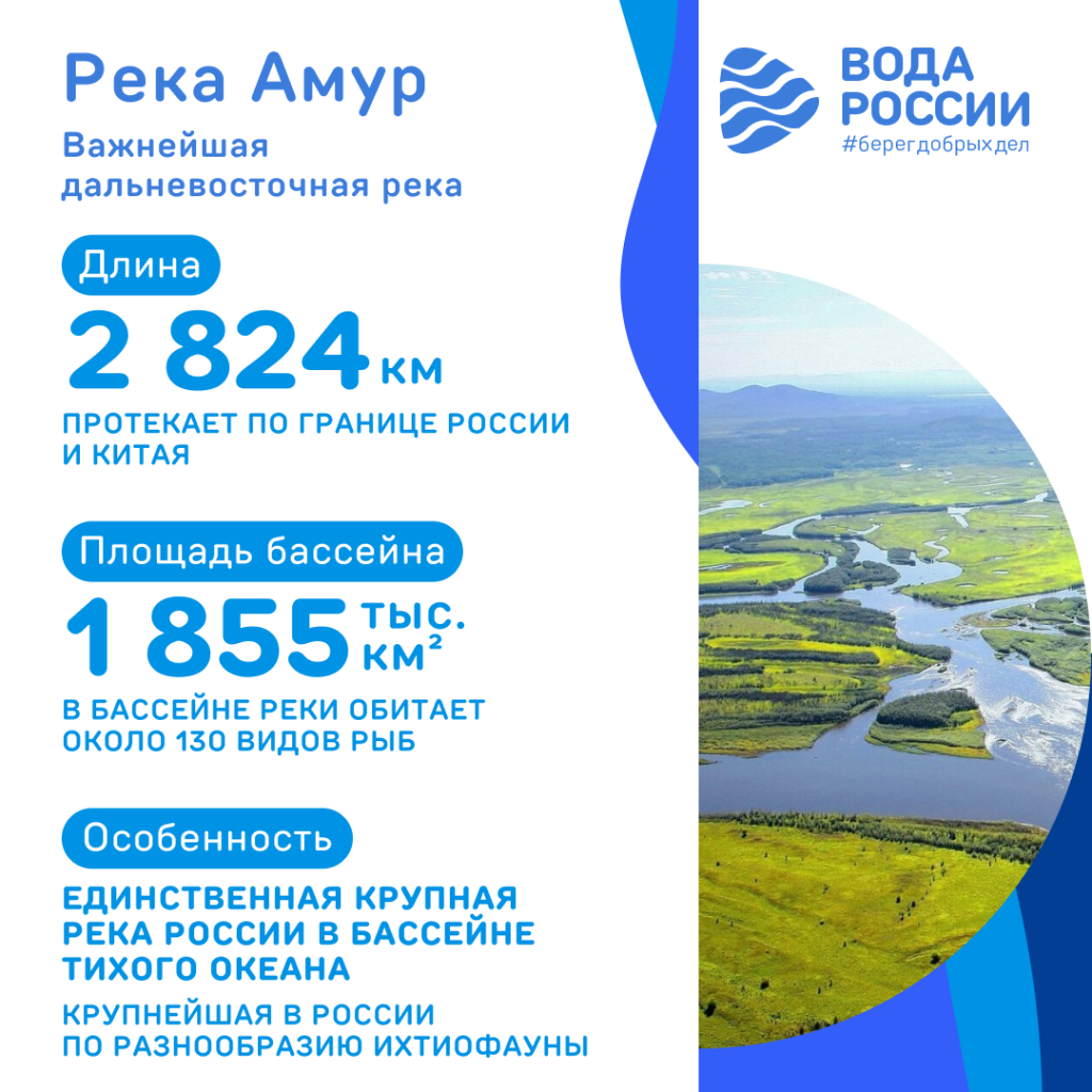 Река Амур.png
