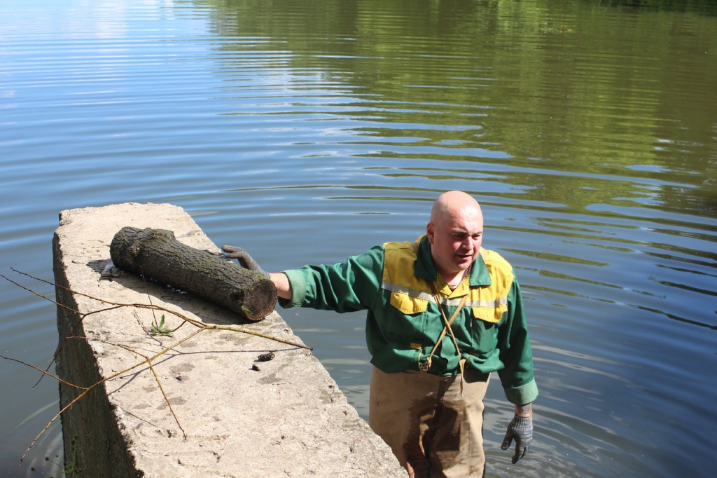 Во Фрязине среди «добычи» волонтеров не только бытовой хлам, но также автомобильные покрышки и коряги, которые пришлось вытаскивать прямо из воды.