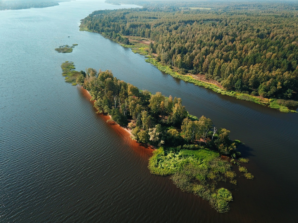 Фото: shutterstock