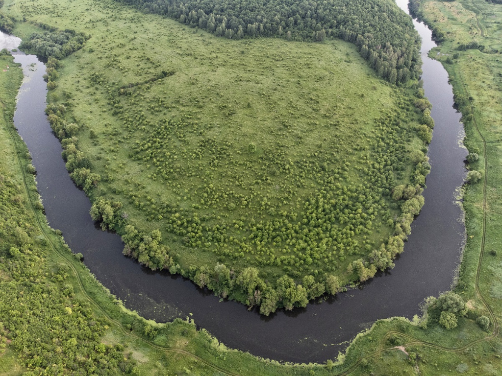 Фото: shutterstock