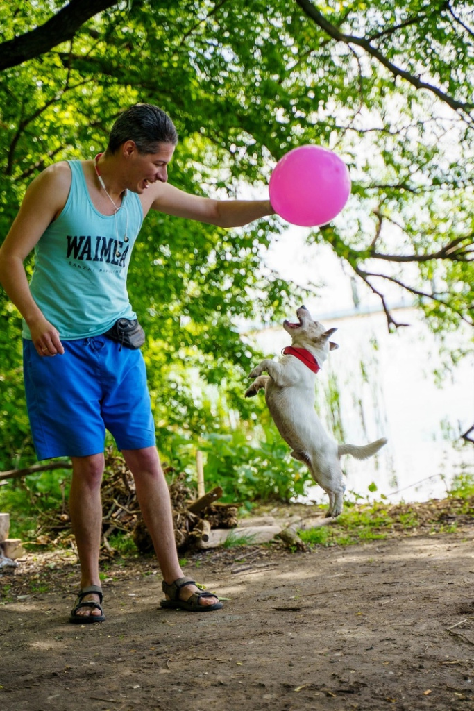 В Воронежской области территорию вокруг Придаченской дамбы привели в порядок в рамках экопикника для людей с ОВЗ