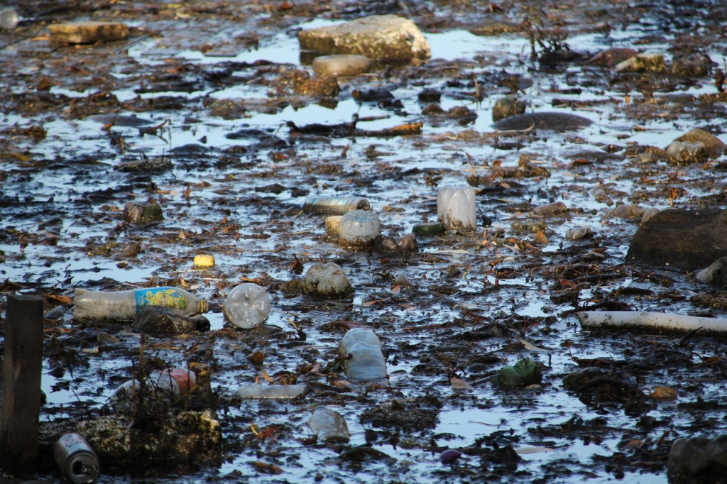 Алтайские волонтеры извлекли из воды бумеранг