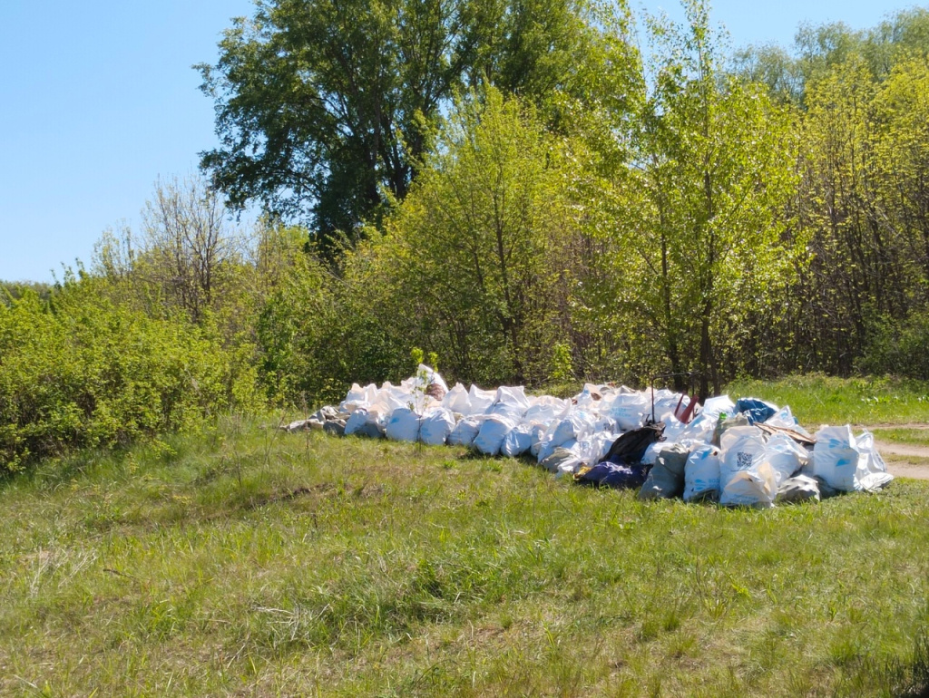 Акция «Вода России» прошла на Артемовских лугах