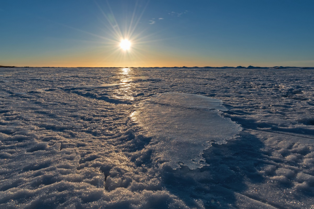 Фото: shutterstock