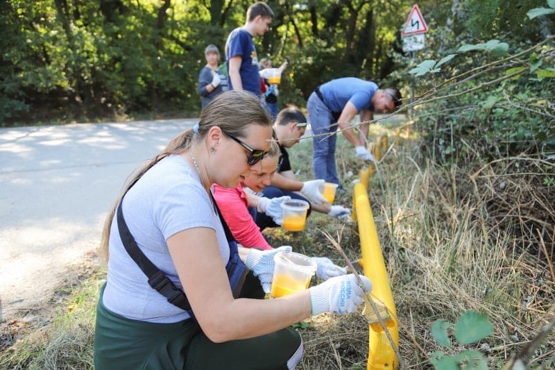 24 10 волонтеры красят заграждение.jpeg