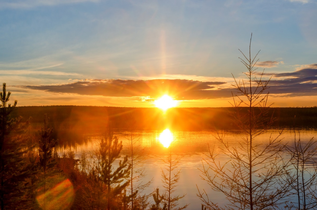 Фото: shutterstock