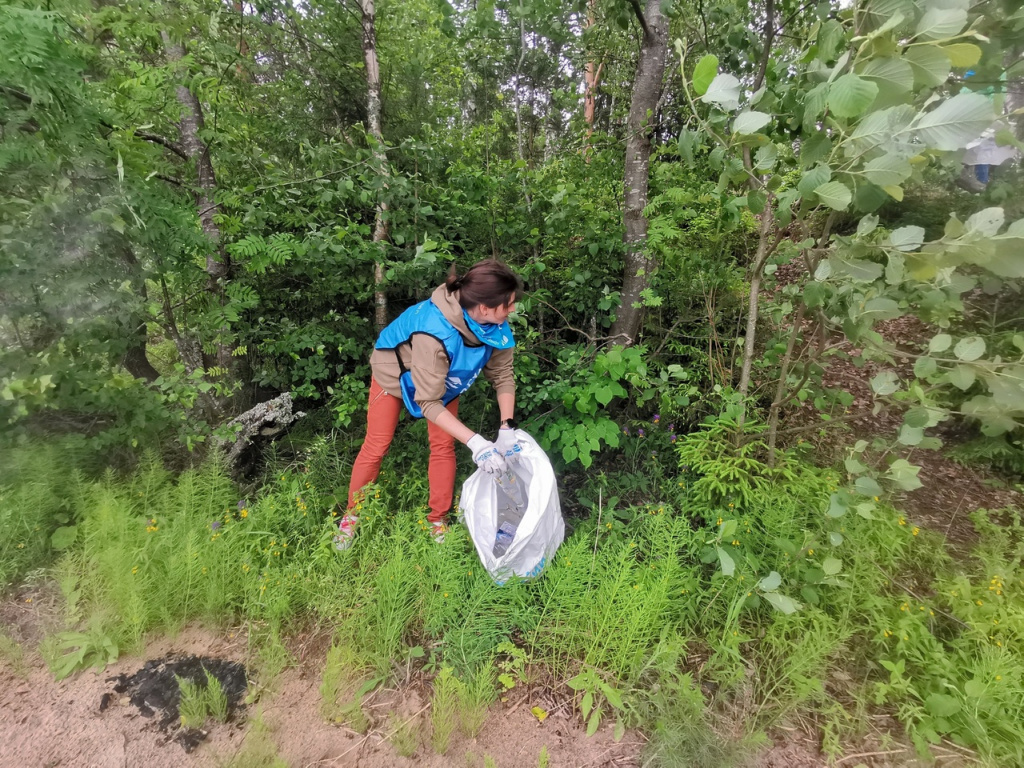 80 человек собрались на уборку Грехова ручья в Ярославской области