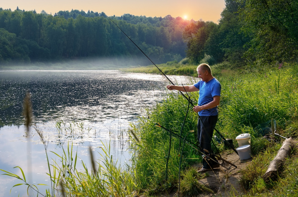 Фото: shutterstock