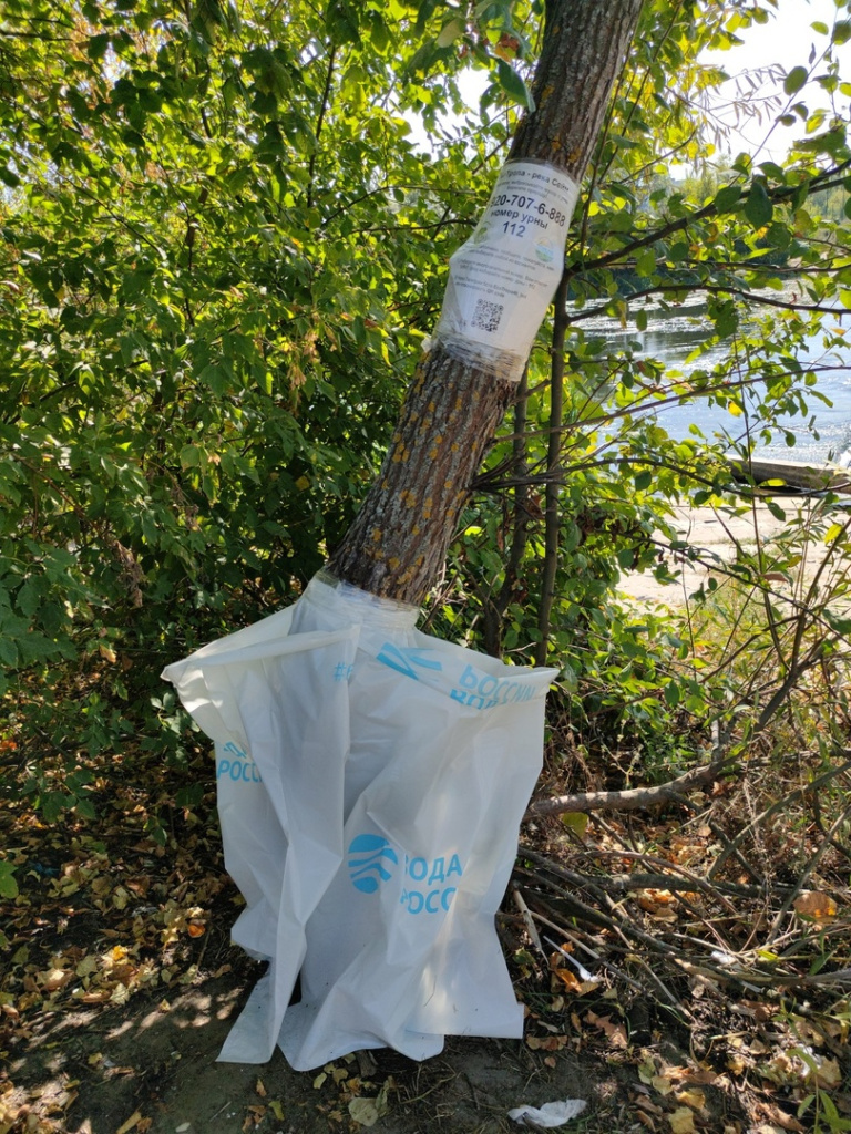 Волонтеры — защитники Сейма не сидят без дела