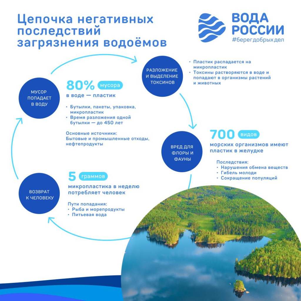 цепочка.jpg