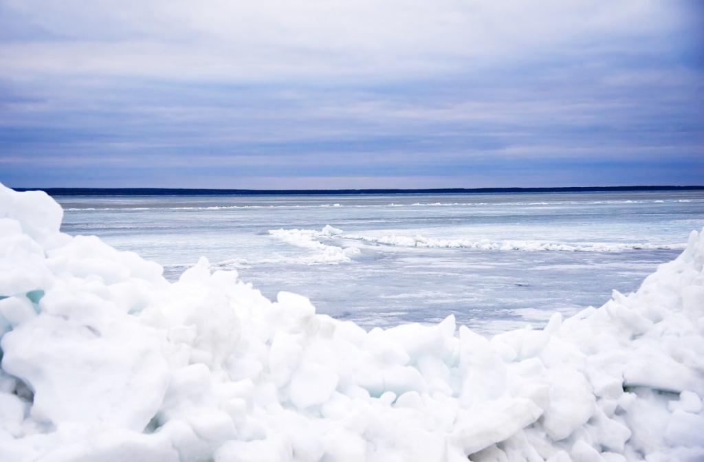 shutterstock shutterstock_780602431опропроо.jpg