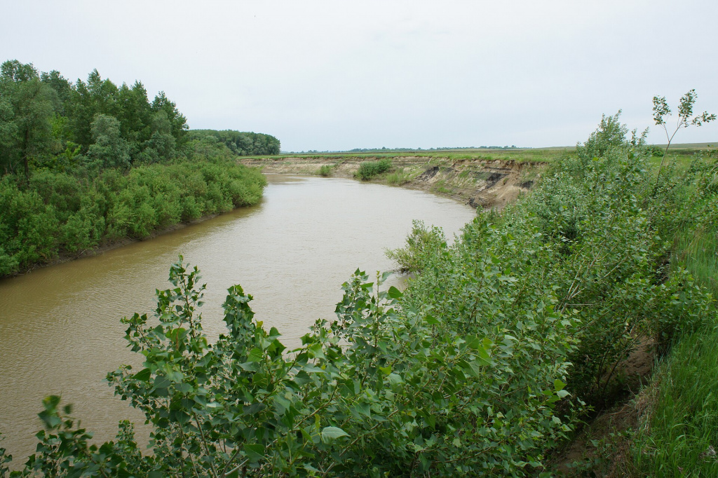 Алей в Алейском районе (окрестности с. Урюпино). Фото: wikimedia.org