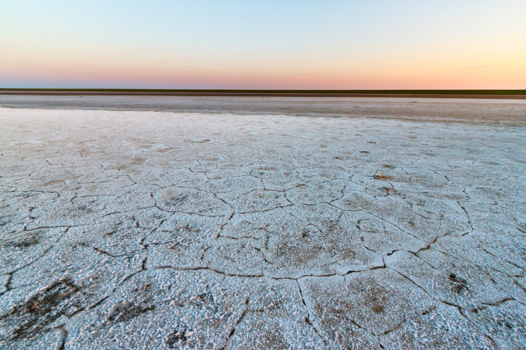 Фото: shutterstock