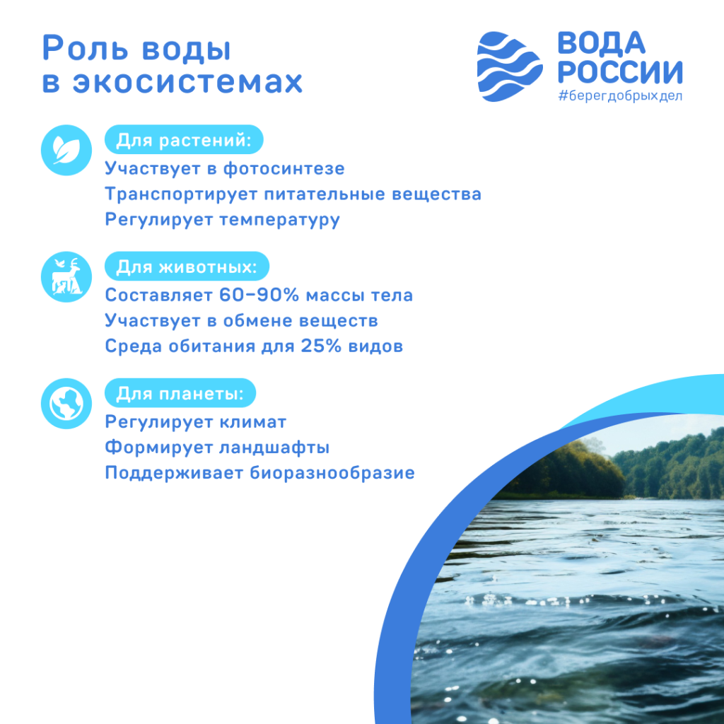 РОЛЬ ВОДЫ _В ЭКОСИСТЕМАХ.png