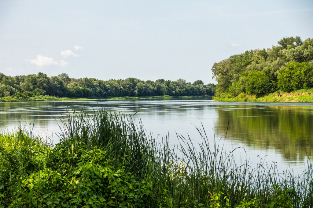 Фото: shutterstock