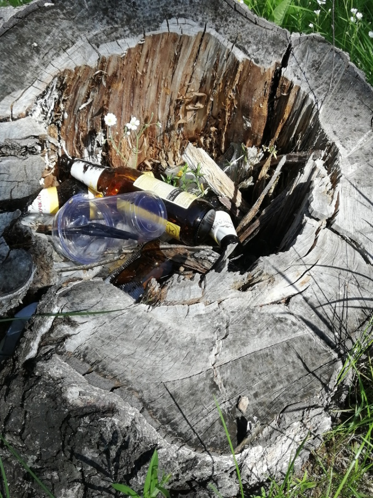 Небольшие субботники прошли на берегах Катуни в Республике Алтай на территории Катунского биосферного заповедника.